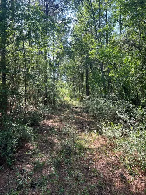 1049 Candy Ln, Mccomb, MS 39648 photo 6