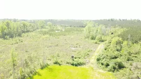 7075 Martinsville Rd, Wesson, MS 39191 photo 57