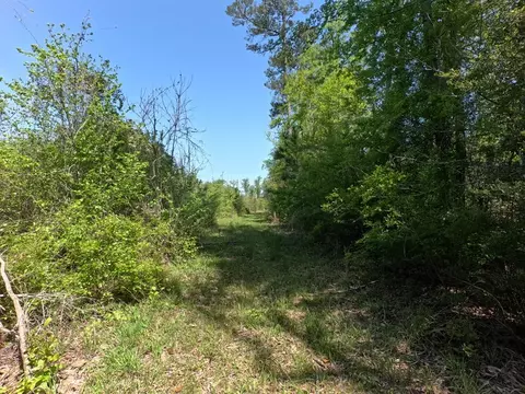7075 Martinsville Rd, Wesson, MS 39191 photo 6
