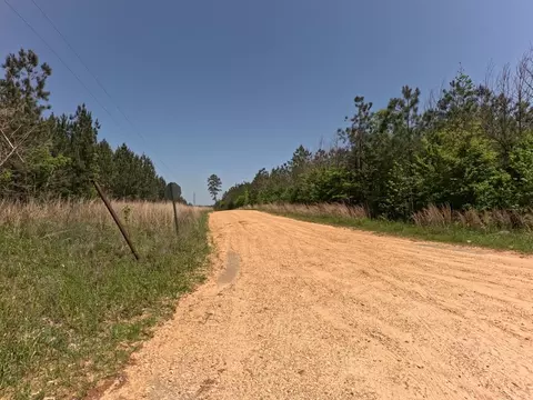 7075 Martinsville Rd, Wesson, MS 39191 photo 18
