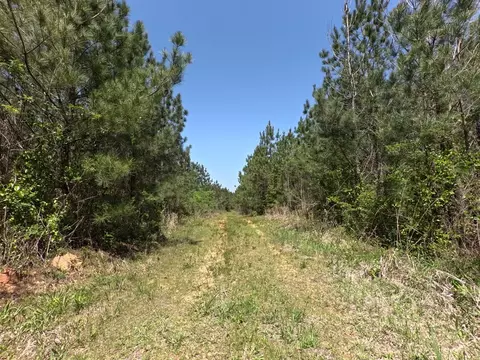 7075 Martinsville Rd, Wesson, MS 39191 photo 34