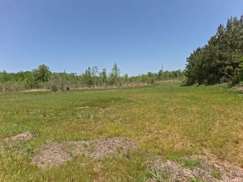 7075 Martinsville Rd, Wesson, MS 39191 photo 42