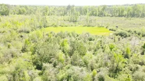 7075 Martinsville Rd, Wesson, MS 39191 photo 9