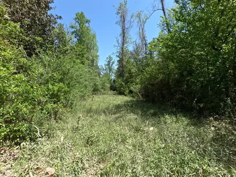 7075 Martinsville Rd, Wesson, MS 39191 photo 8