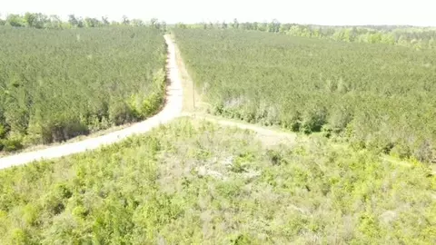 7075 Martinsville Rd, Wesson, MS 39191 photo 51