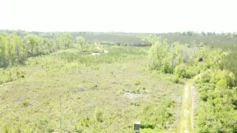 7075 Martinsville Rd, Wesson, MS 39191 photo 55