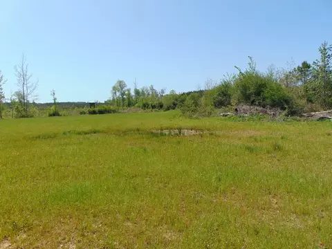 7075 Martinsville Rd, Wesson, MS 39191 photo 62