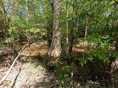 7075 Martinsville Rd, Wesson, MS 39191 photo 4