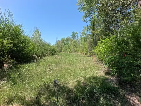 7075 Martinsville Rd, Wesson, MS 39191 photo 16