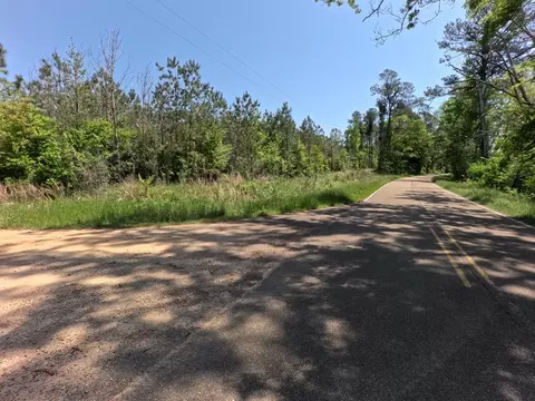 7075 Martinsville Rd, Wesson, MS 39191 photo 22