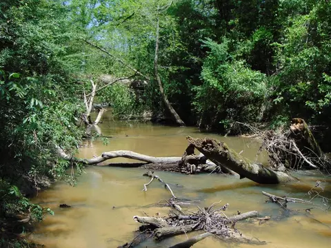 7075 Martinsville Rd, Wesson, MS 39191 photo 59