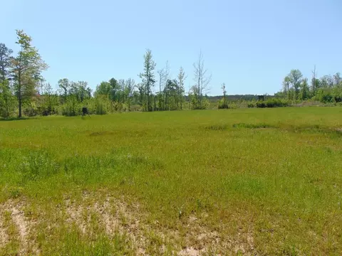 7075 Martinsville Rd, Wesson, MS 39191 photo 63