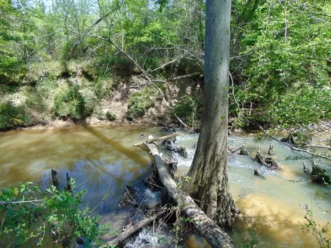 7075 Martinsville Rd, Wesson, MS 39191 photo 56