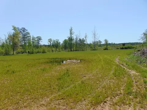 7075 Martinsville Rd, Wesson, MS 39191 photo 61