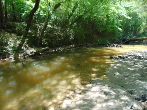 7075 Martinsville Rd, Wesson, MS 39191 photo 58