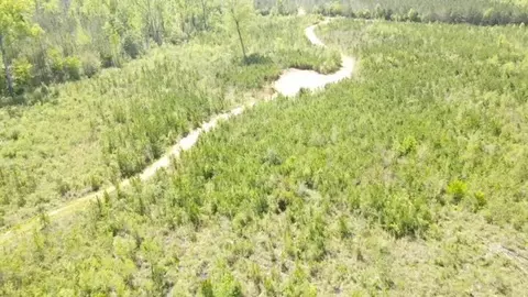 7075 Martinsville Rd, Wesson, MS 39191 photo 11