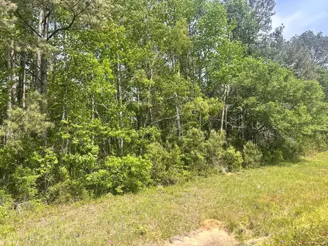 tbd Hwy 44e, Mccomb, MS 39648