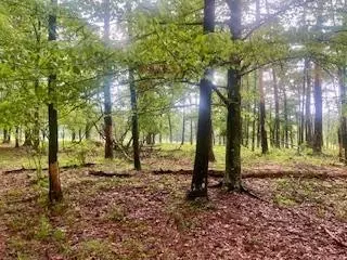 450 Apple Trl, Bogue Chitto, MS 39629