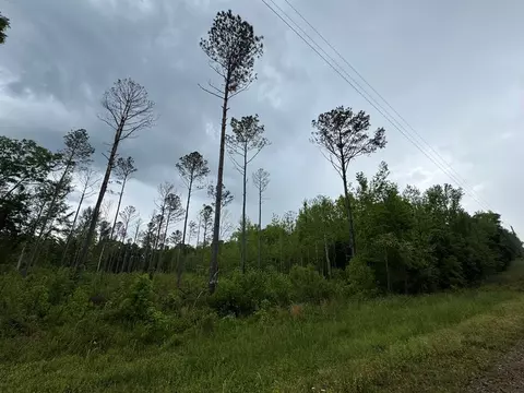 1 Old Rd, MS photo 3