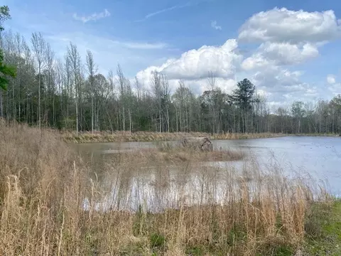 553-73 Williams, Kilmichael, MS 39747 photo 62