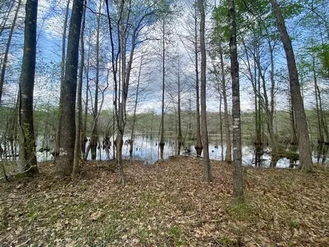 553-73 Williams, Kilmichael, MS 39747 photo 73