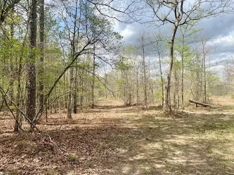 553-73 Williams, Kilmichael, MS 39747 photo 32