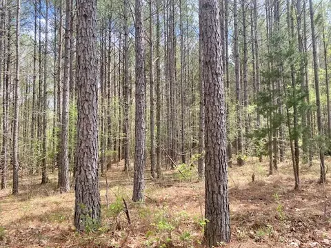 553-73 Williams, Kilmichael, MS 39747 photo 37