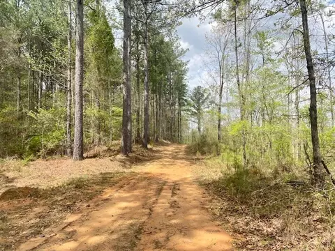 553-73 Williams, Kilmichael, MS 39747 photo 29