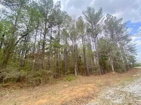 553-73 Williams, Kilmichael, MS 39747 photo 13