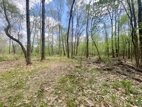 553-73 Williams, Kilmichael, MS 39747 photo 55