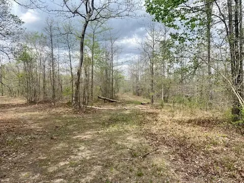 553-73 Williams, Kilmichael, MS 39747 photo 31