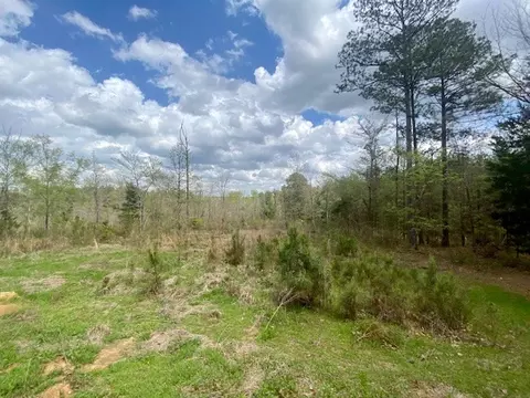 553-73 Williams, Kilmichael, MS 39747 photo 6