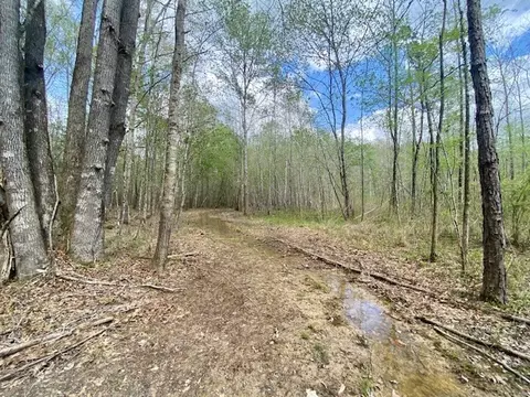 553-73 Williams, Kilmichael, MS 39747 photo 39