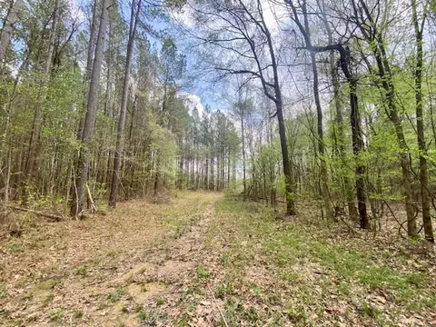553-73 Williams, Kilmichael, MS 39747 photo 81