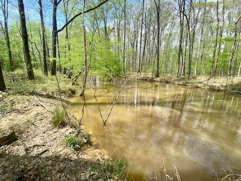 553-73 Williams, Kilmichael, MS 39747 photo 53