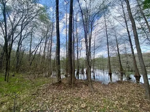 553-73 Williams, Kilmichael, MS 39747 photo 75