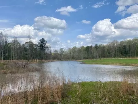 553-73 Williams, Kilmichael, MS 39747