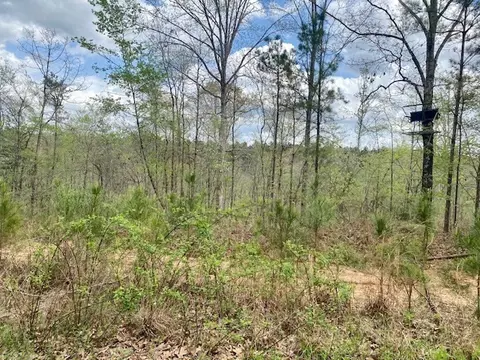 553-73 Williams, Kilmichael, MS 39747 photo 30