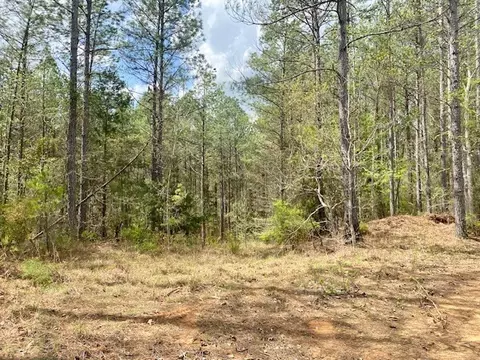 553-73 Williams, Kilmichael, MS 39747 photo 28