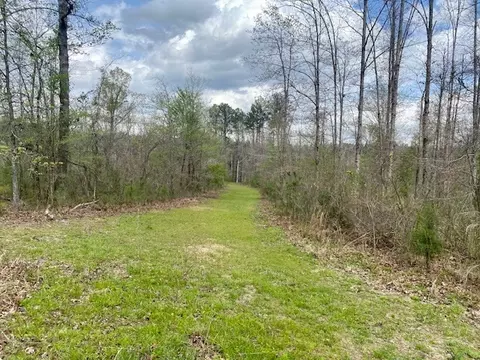 553-73 Williams, Kilmichael, MS 39747 photo 33