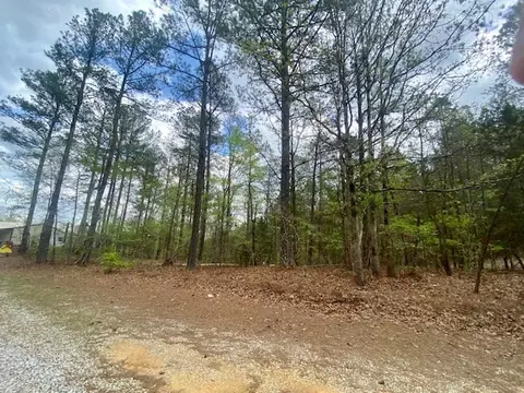 553-73 Williams, Kilmichael, MS 39747 photo 14
