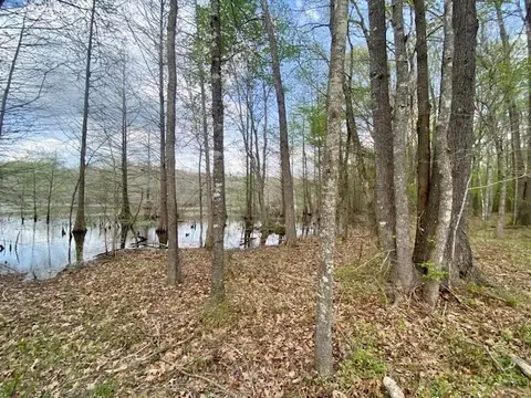 553-73 Williams, Kilmichael, MS 39747 photo 74
