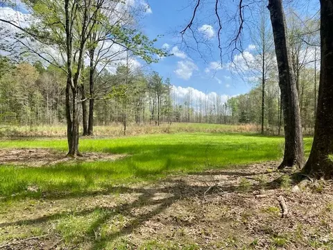 553-73 Williams, Kilmichael, MS 39747 photo 63