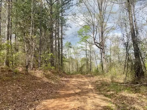 553-73 Williams, Kilmichael, MS 39747 photo 27