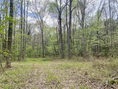 553-73 Williams, Kilmichael, MS 39747 photo 65