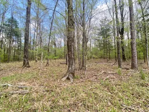 553-73 Williams, Kilmichael, MS 39747 photo 72