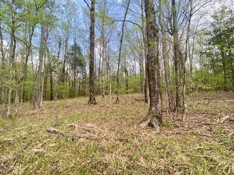 553-73 Williams, Kilmichael, MS 39747 photo 71