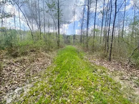 553-73 Williams, Kilmichael, MS 39747 photo 56