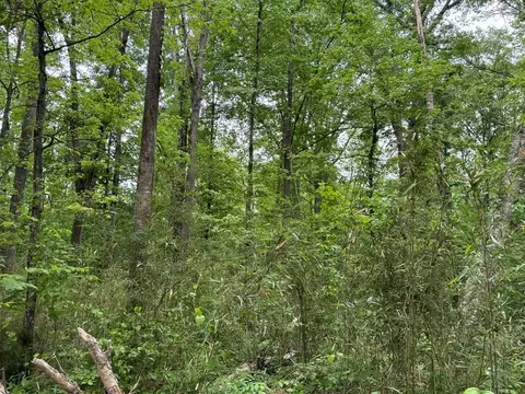 000 Green Gable Rd, Terry, MS 39170 photo 5