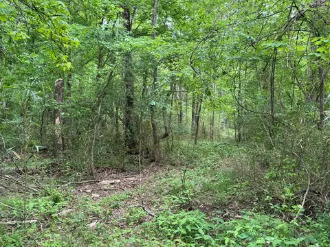 000 Green Gable Rd, Terry, MS 39170 photo 4
